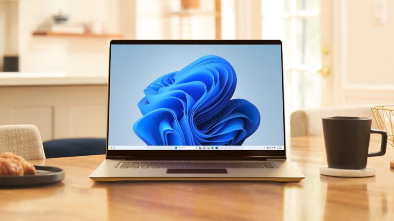Cum să Criptezi Disc-ul PC-ului Fără Să Dai Cheile lui Microsoft – Ghid Complet
